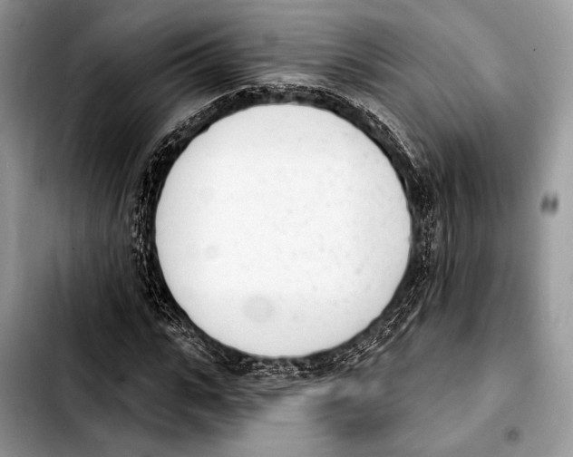 X0000103910919200810101304