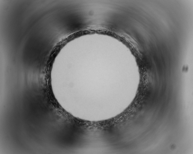 X0000103910920200810101304