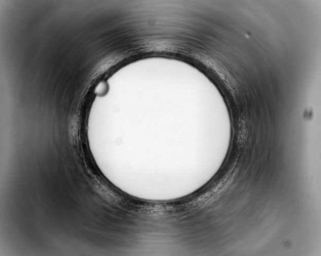 X0000103910922200810101304