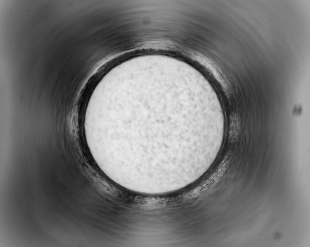 X0000103910923200810101304