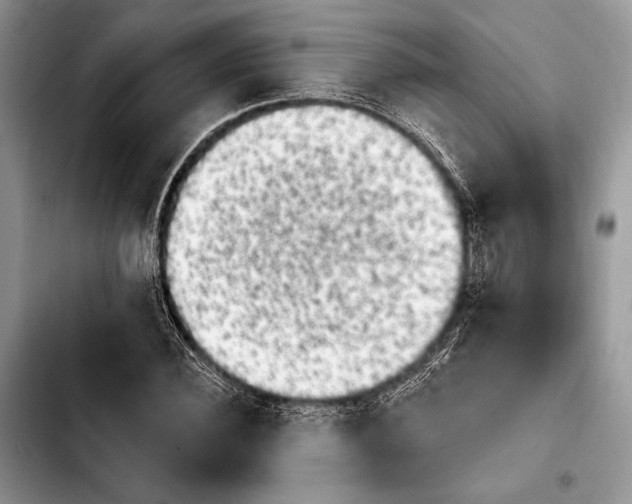 X0000103910924200810101304