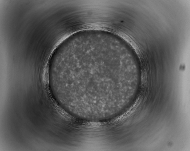X0000103910925200810101304
