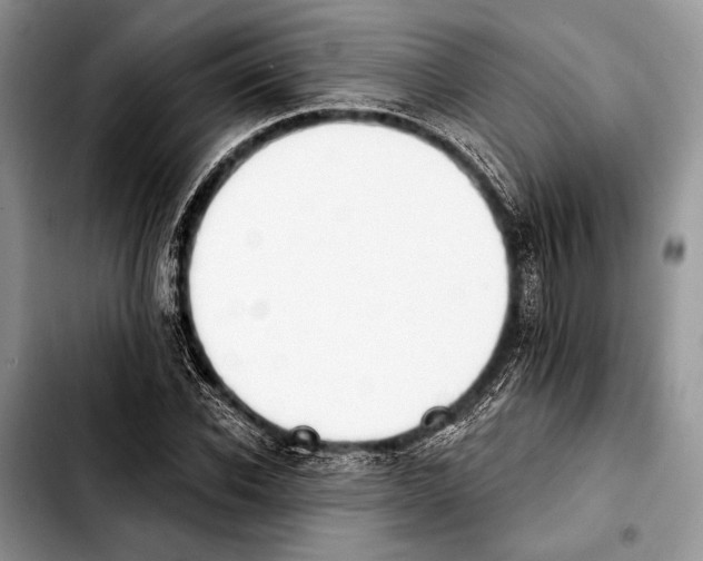 X0000103910926200810101304
