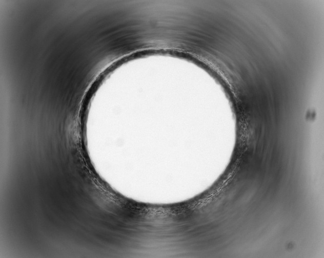 X0000103910927200810101304