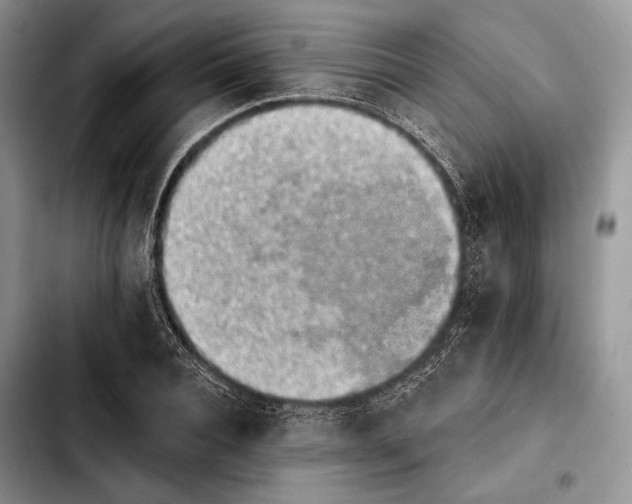 X0000103910928200810101304