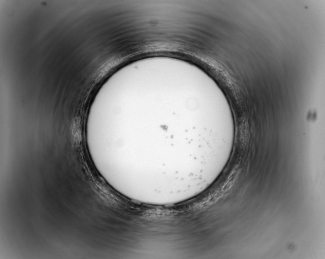 X0000103910929200810101304