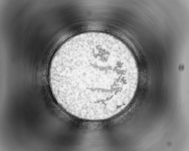 X0000103910930200810101304