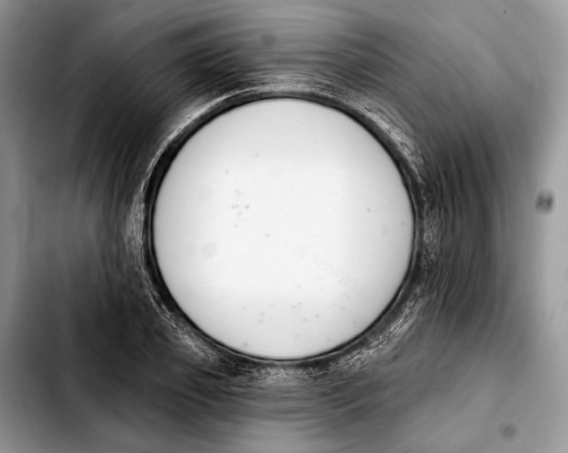 X0000103910933200810101304
