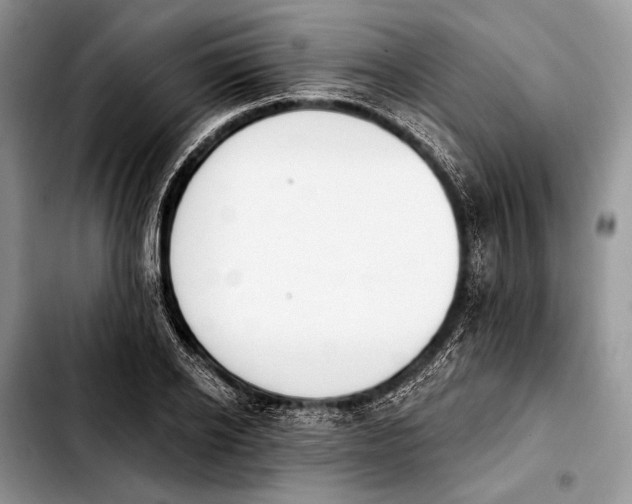X0000103910934200810101304