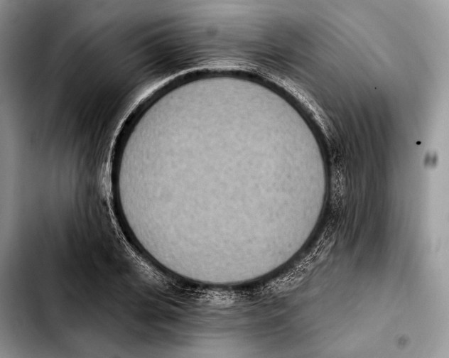 X0000103910935200810101304