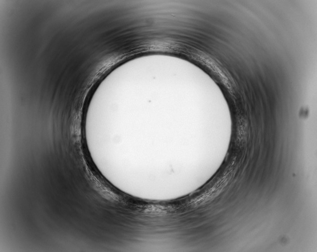 X0000103910938200810101305