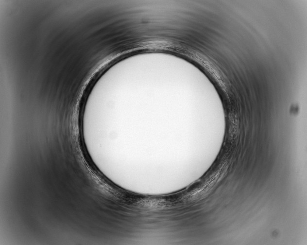 X0000103910939200810101305