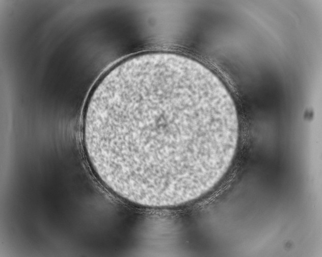X0000103910940200810101305