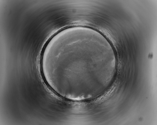 X0000103910941200810101305