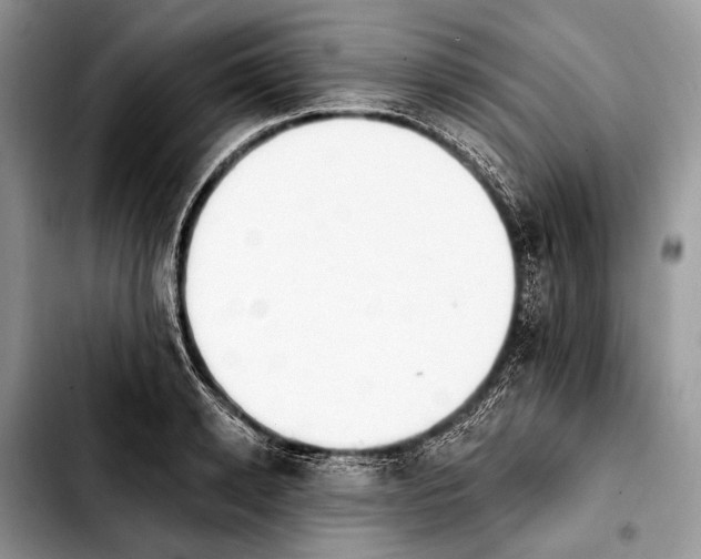 X0000103910942200810101305