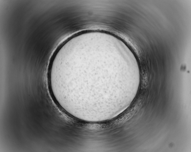 X0000103910943200810101305