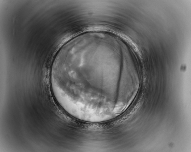 X0000103910945200810101305