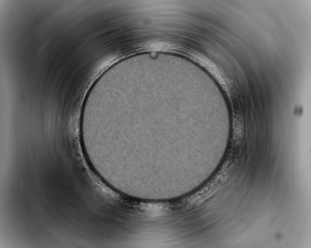 X0000103910946200810101305