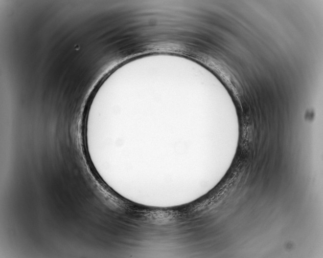 X0000103910947200810101305