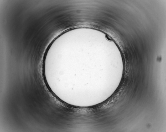 X0000103910949200810101305