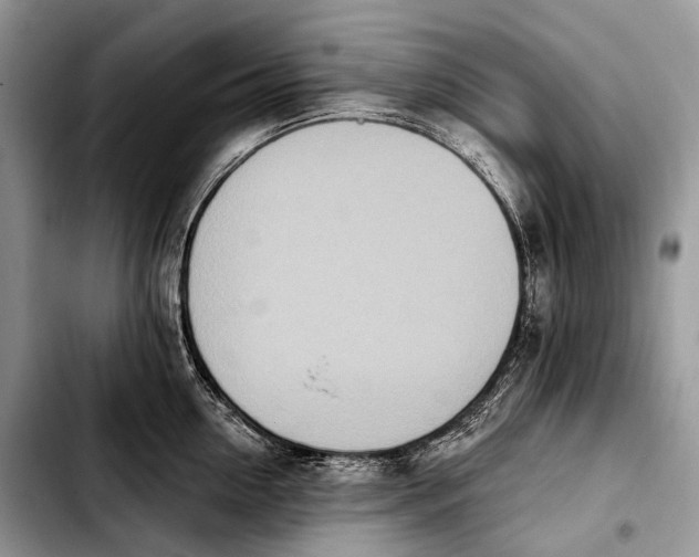 X0000103910954200810101305