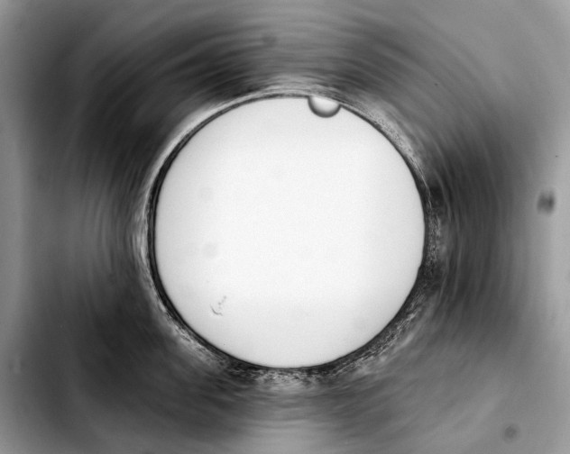 X0000103910955200810101305