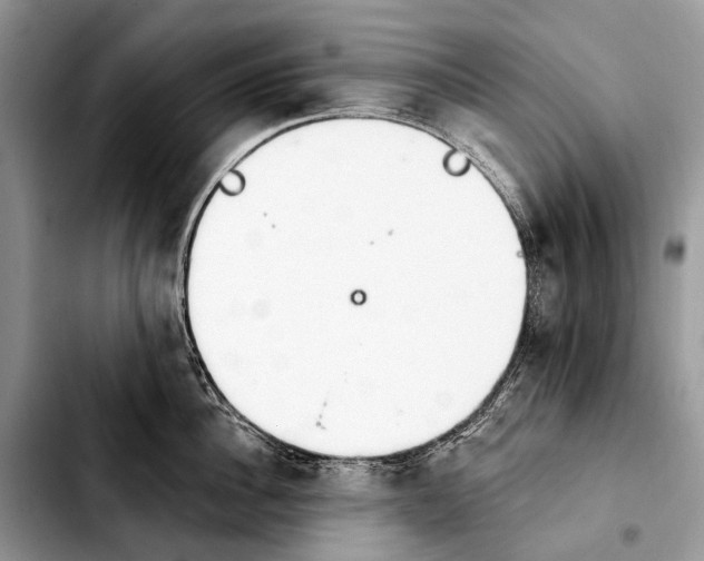 X0000103910956200810101305