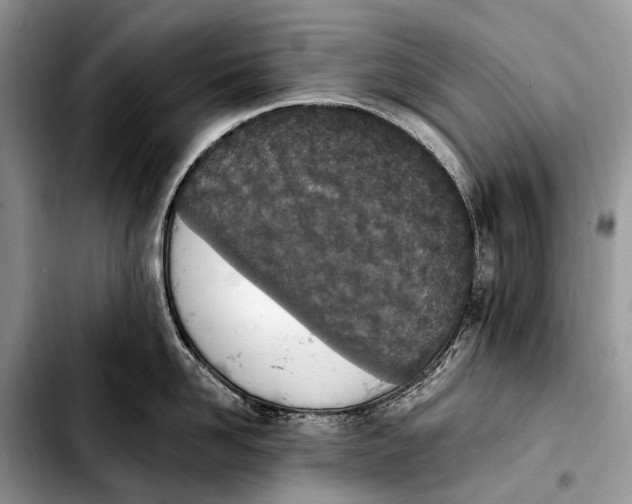X0000103910958200810101305