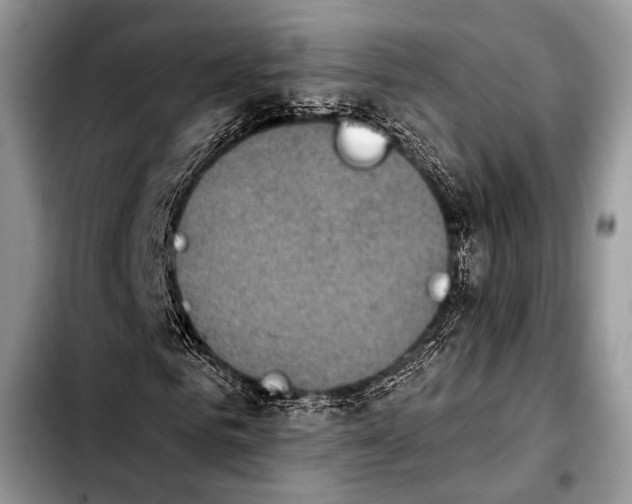 X0000103910961200810101304