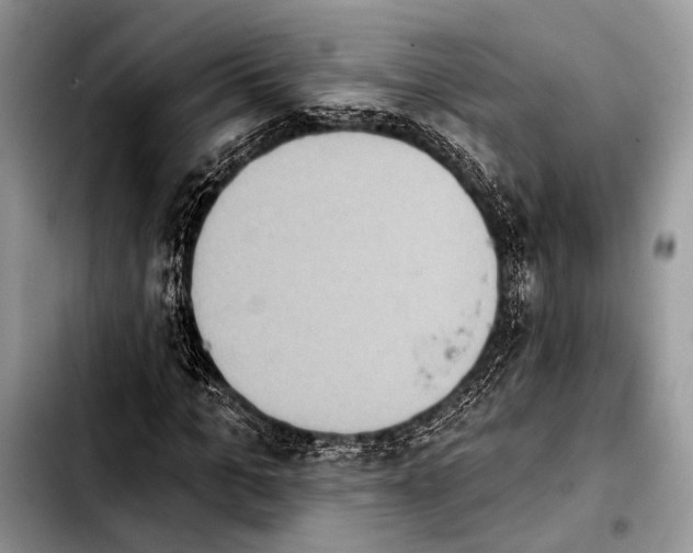 X0000103910965200810101304