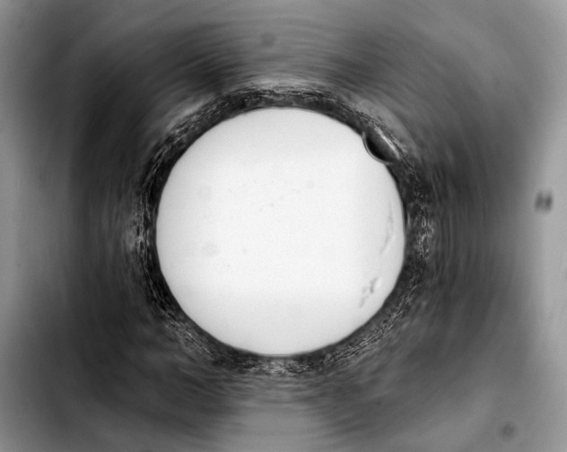 X0000103910966200810101304