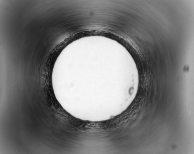 X0000103910967200810101304
