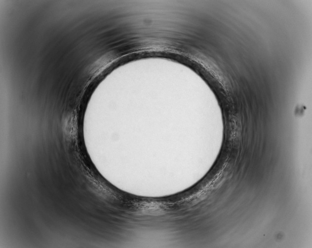 X0000103910969200810101304
