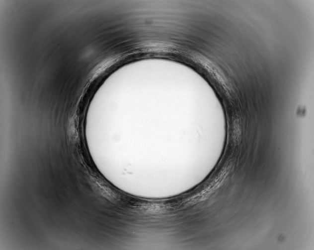 X0000103910970200810101304