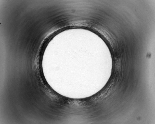 X0000103910971200810101304