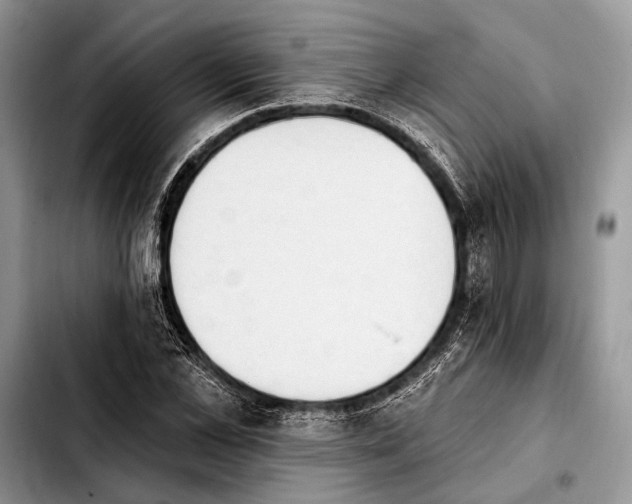 X0000103910973200810101304