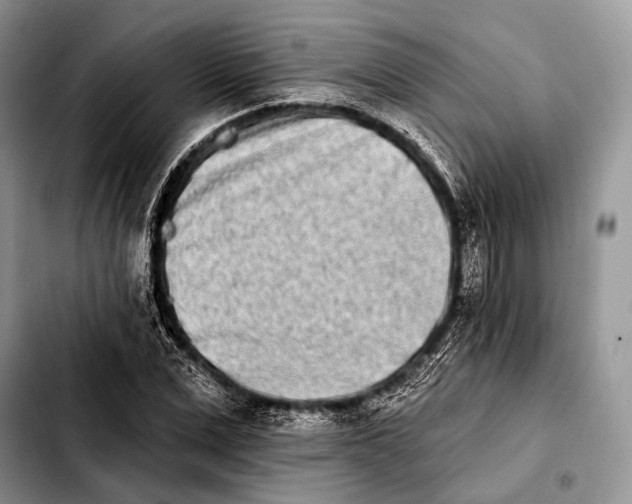 X0000103910975200810101304