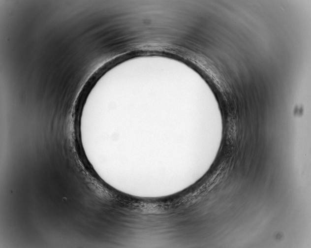X0000103910976200810101304