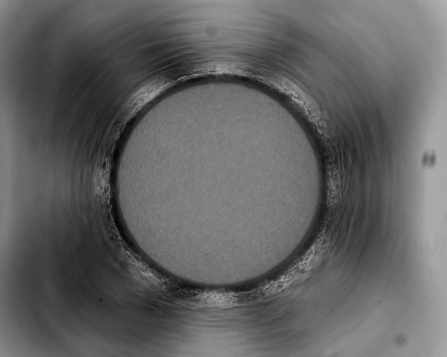 X0000103910977200810101304