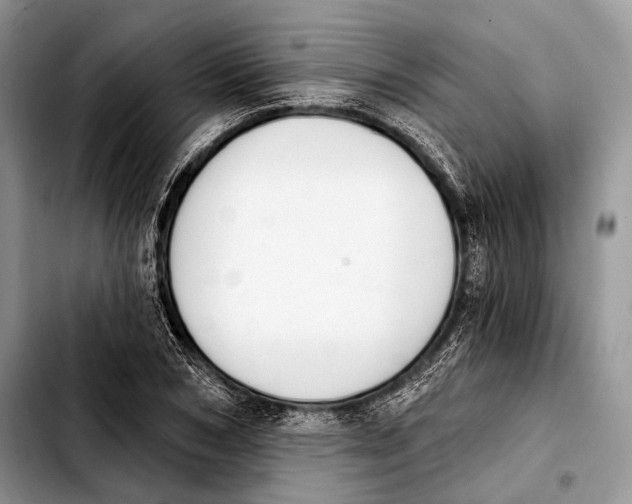 X0000103910978200810101304