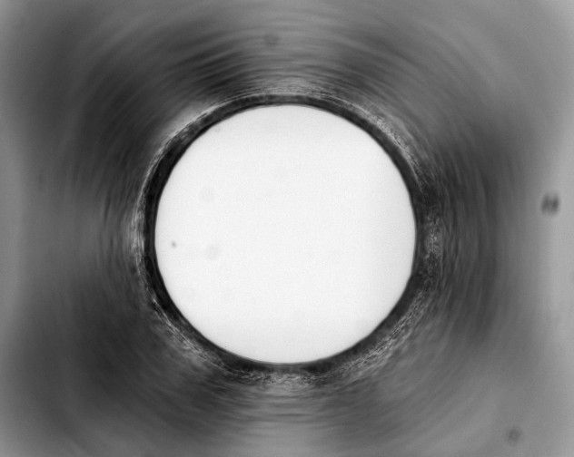 X0000103910979200810101304