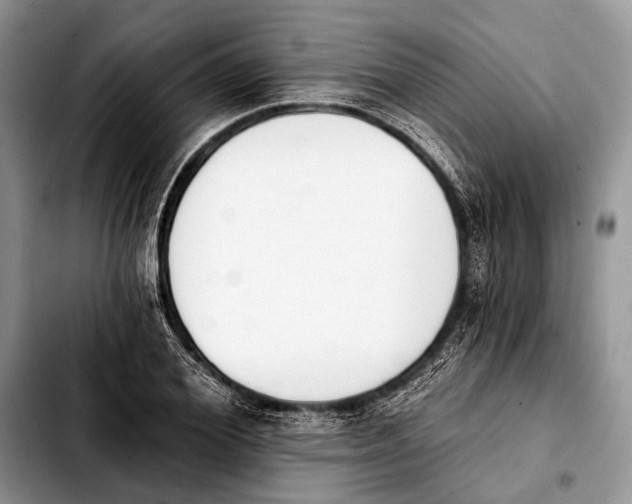 X0000103910980200810101304
