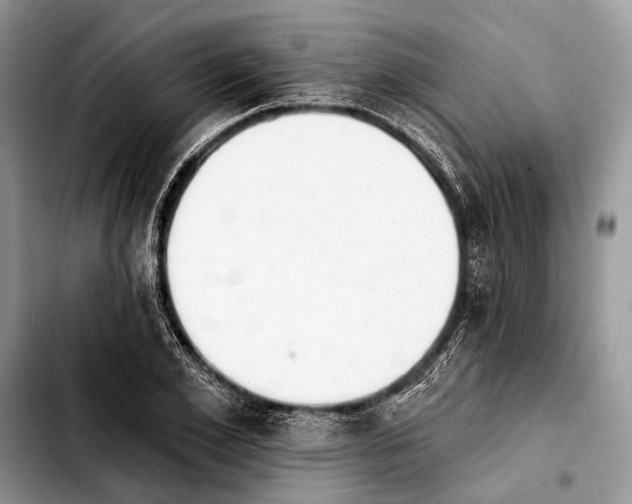 X0000103910981200810101304