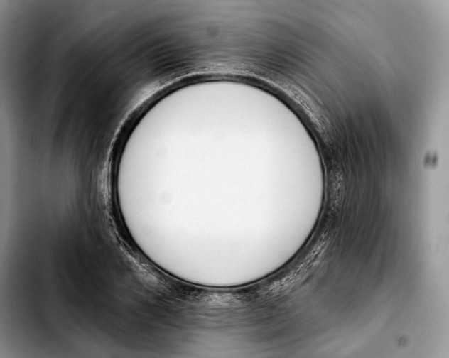 X0000103910982200810101304