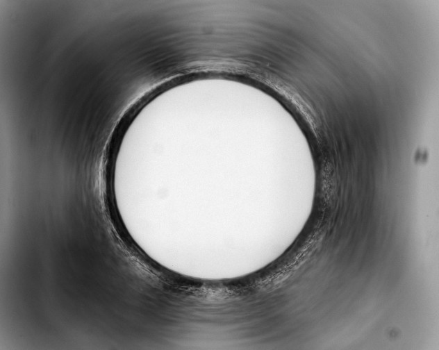 X0000103910983200810101304