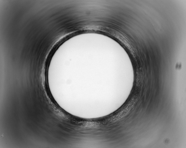 X0000103910984200810101304