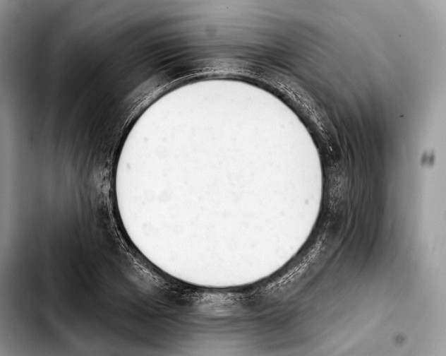X0000103910985200810101304