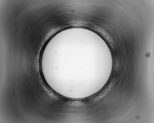 X0000103910986200810101304