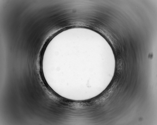 X0000103910987200810101304