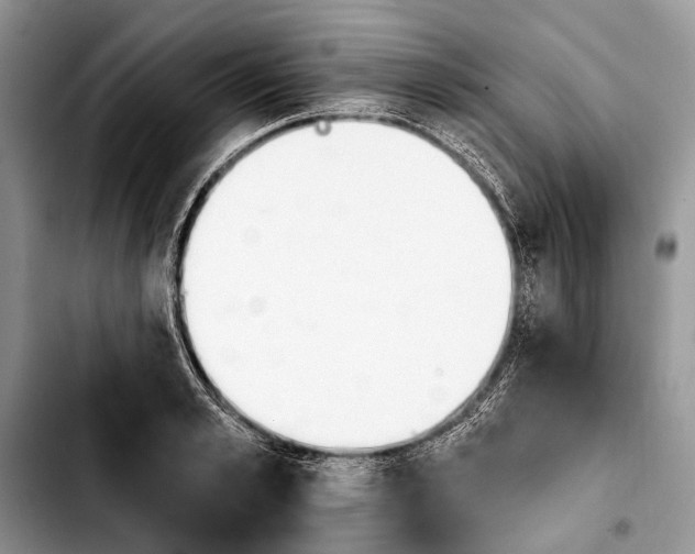 X0000103910989200810101304